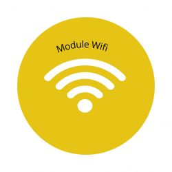 Carte Wireless LAN 2.4 GHz / 5 GHz 